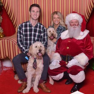 Meet your Posher, Annie